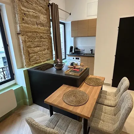 Daire Elegant Et Chic Refait A Neuf Lyon